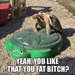 Meet your Posher, Lilly